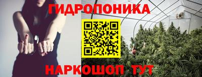 хмурый Аргун
