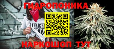 хмурый Аргун