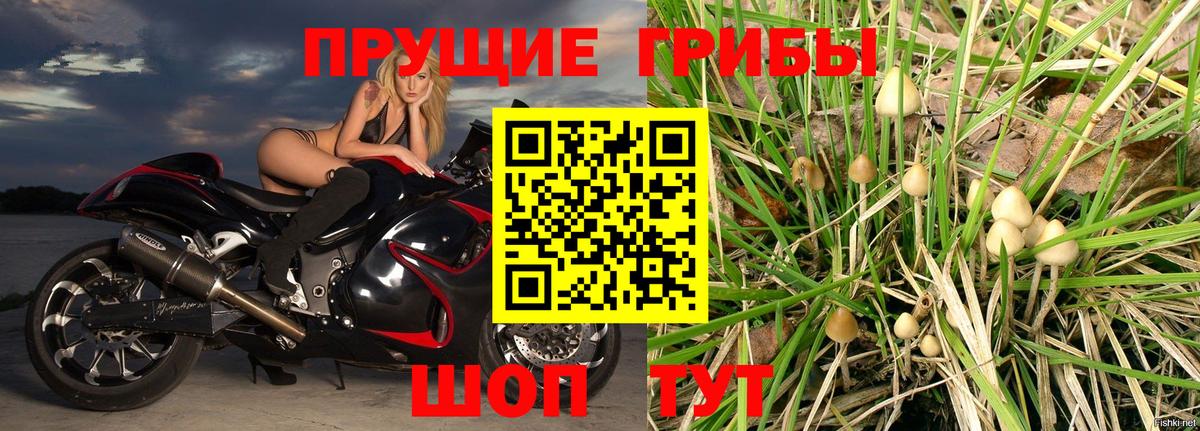 Галлюциногенные грибы прущие грибы Березники