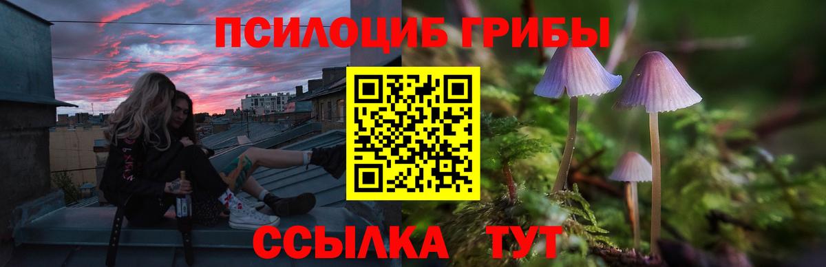 Галлюциногенные грибы GOLDEN TEACHER  Вход с VPN  Березники 